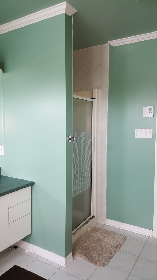 Prefab shower stall before demolition